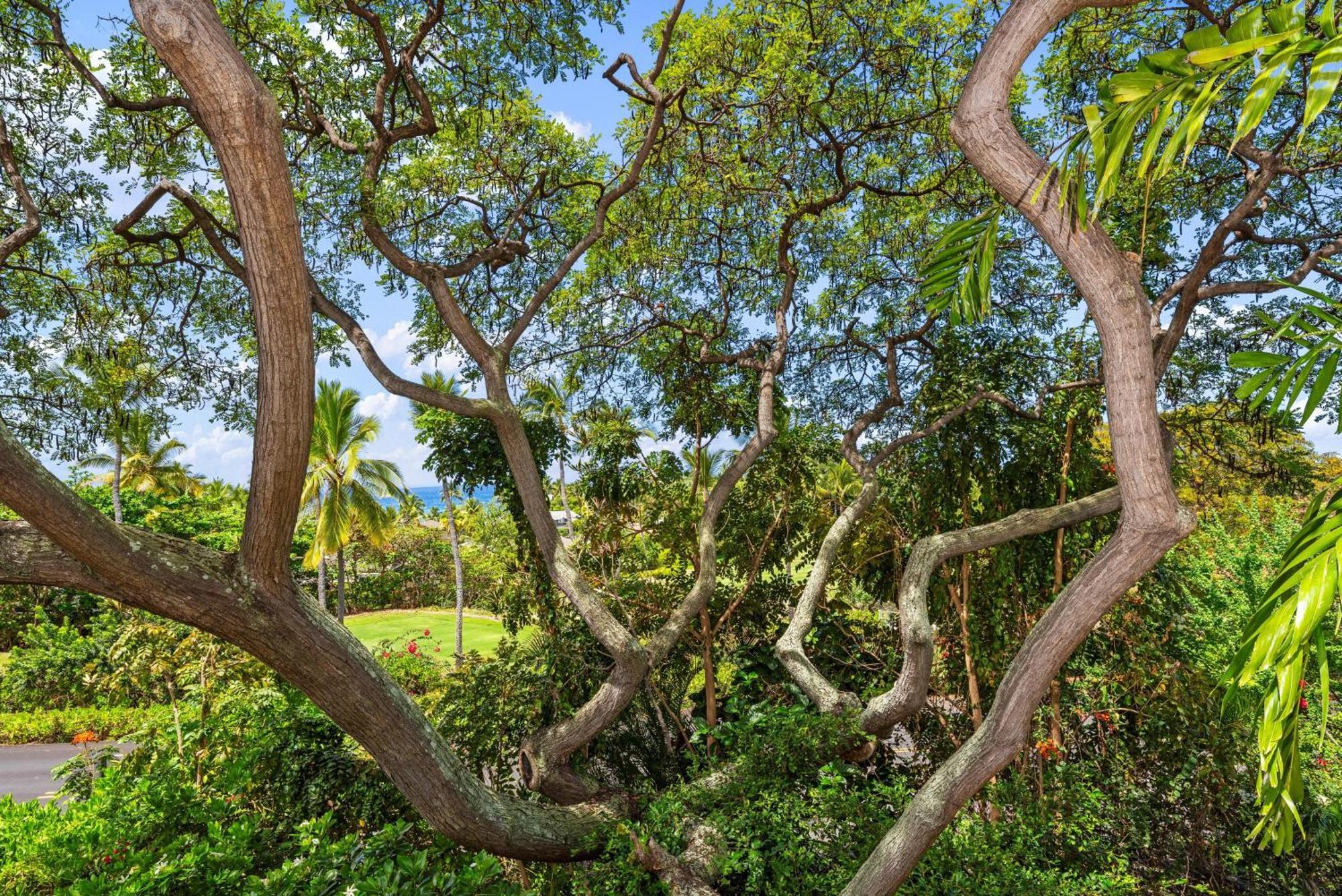"Makani Moana" At Keauhou Resort #104, Entire Townhome Close To Kona Καϊλούα-Κόνα Εξωτερικό φωτογραφία